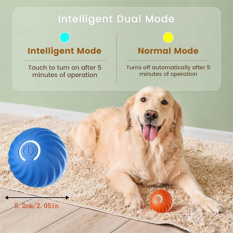 ZoomieBall™ – Smart Interactive Pet Ball 🎾 Auto-moves, bounces & recharges via USB 🐾 Keeps your dog active, even when you're busy 💡 Built-in motion sensor | Soft-touch | Dog-safe