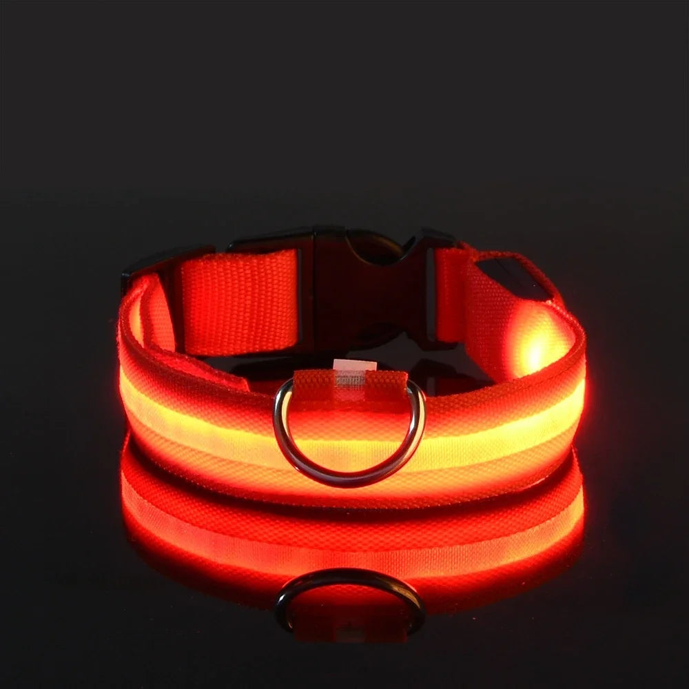 GlowPup™ – LED Safety Collar 🌟 Be seen. Be safe. Be stylish. 🐶 USB rechargeable | Adjustable | Multiple colors 🌙 Perfect for night walks & adventures