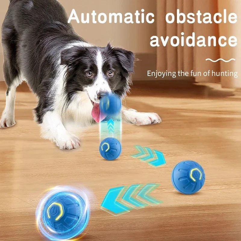 ZoomieBall™ – Smart Interactive Pet Ball 🎾 Auto-moves, bounces & recharges via USB 🐾 Keeps your dog active, even when you're busy 💡 Built-in motion sensor | Soft-touch | Dog-safe