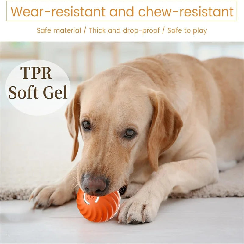 ZoomieBall™ – Smart Interactive Pet Ball 🎾 Auto-moves, bounces & recharges via USB 🐾 Keeps your dog active, even when you're busy 💡 Built-in motion sensor | Soft-touch | Dog-safe