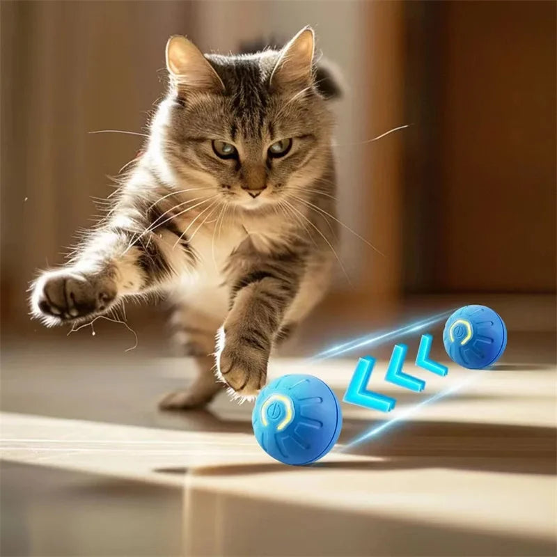 ZoomieBall™ – Smart Interactive Pet Ball 🎾 Auto-moves, bounces & recharges via USB 🐾 Keeps your dog active, even when you're busy 💡 Built-in motion sensor | Soft-touch | Dog-safe