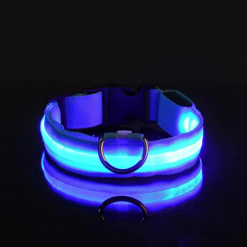 GlowPup™ – LED Safety Collar 🌟 Be seen. Be safe. Be stylish. 🐶 USB rechargeable | Adjustable | Multiple colors 🌙 Perfect for night walks & adventures