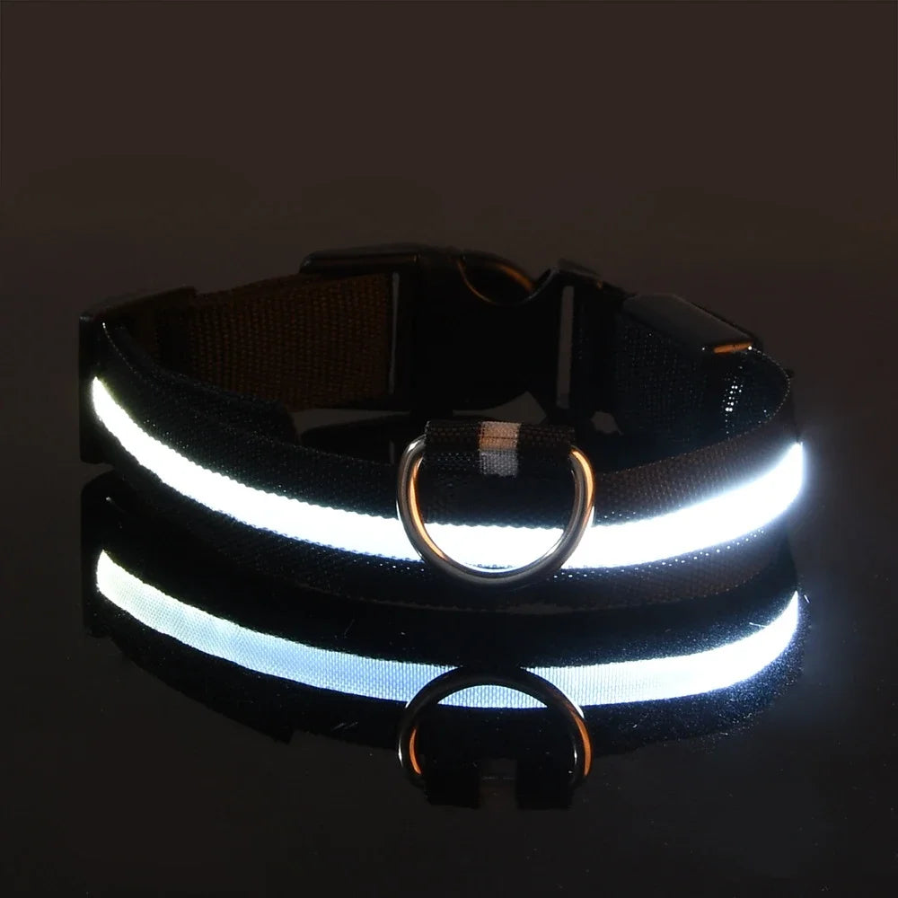 GlowPup™ – LED Safety Collar 🌟 Be seen. Be safe. Be stylish. 🐶 USB rechargeable | Adjustable | Multiple colors 🌙 Perfect for night walks & adventures