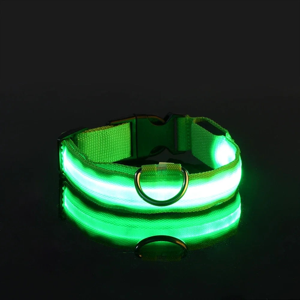 GlowPup™ – LED Safety Collar 🌟 Be seen. Be safe. Be stylish. 🐶 USB rechargeable | Adjustable | Multiple colors 🌙 Perfect for night walks & adventures