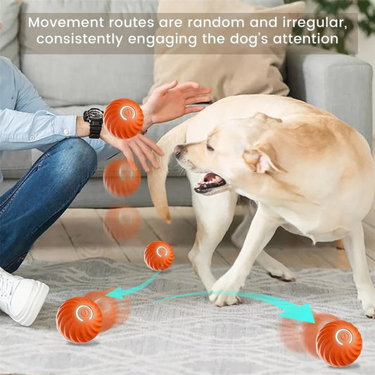 ZoomieBall™ – Smart Interactive Pet Ball 🎾 Auto-moves, bounces & recharges via USB 🐾 Keeps your dog active, even when you're busy 💡 Built-in motion sensor | Soft-touch | Dog-safe