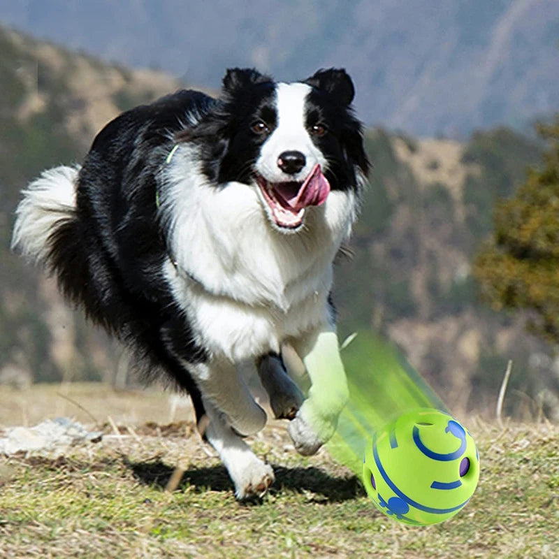 GigglePup™ – Interactive Sound Ball for Dogs 🎶 Emits playful giggles when rolled or shaken 🐾 Keeps your pup entertained & active ✔️ No batteries | Soft-touch design | Dog-safe