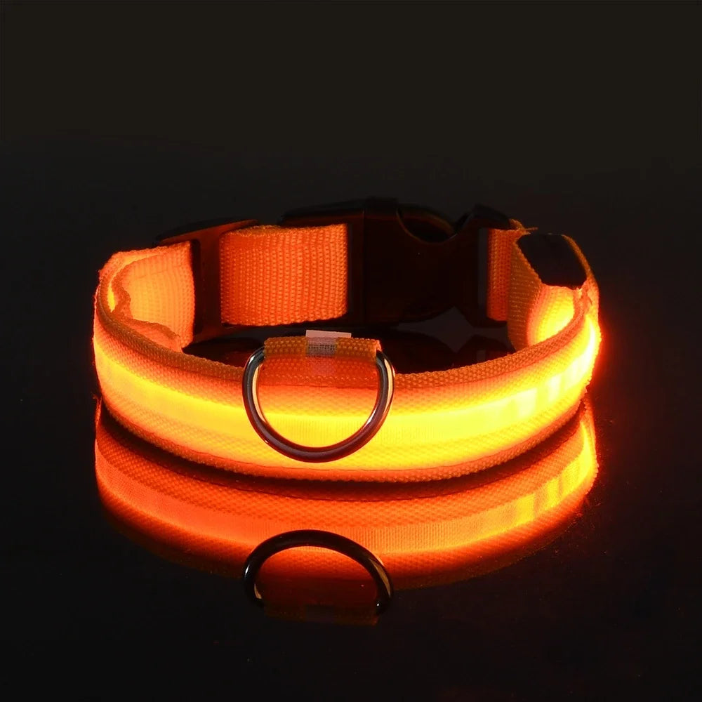 GlowPup™ – LED Safety Collar 🌟 Be seen. Be safe. Be stylish. 🐶 USB rechargeable | Adjustable | Multiple colors 🌙 Perfect for night walks & adventures