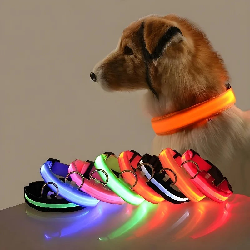 GlowPup™ – LED Safety Collar 🌟 Be seen. Be safe. Be stylish. 🐶 USB rechargeable | Adjustable | Multiple colors 🌙 Perfect for night walks & adventures