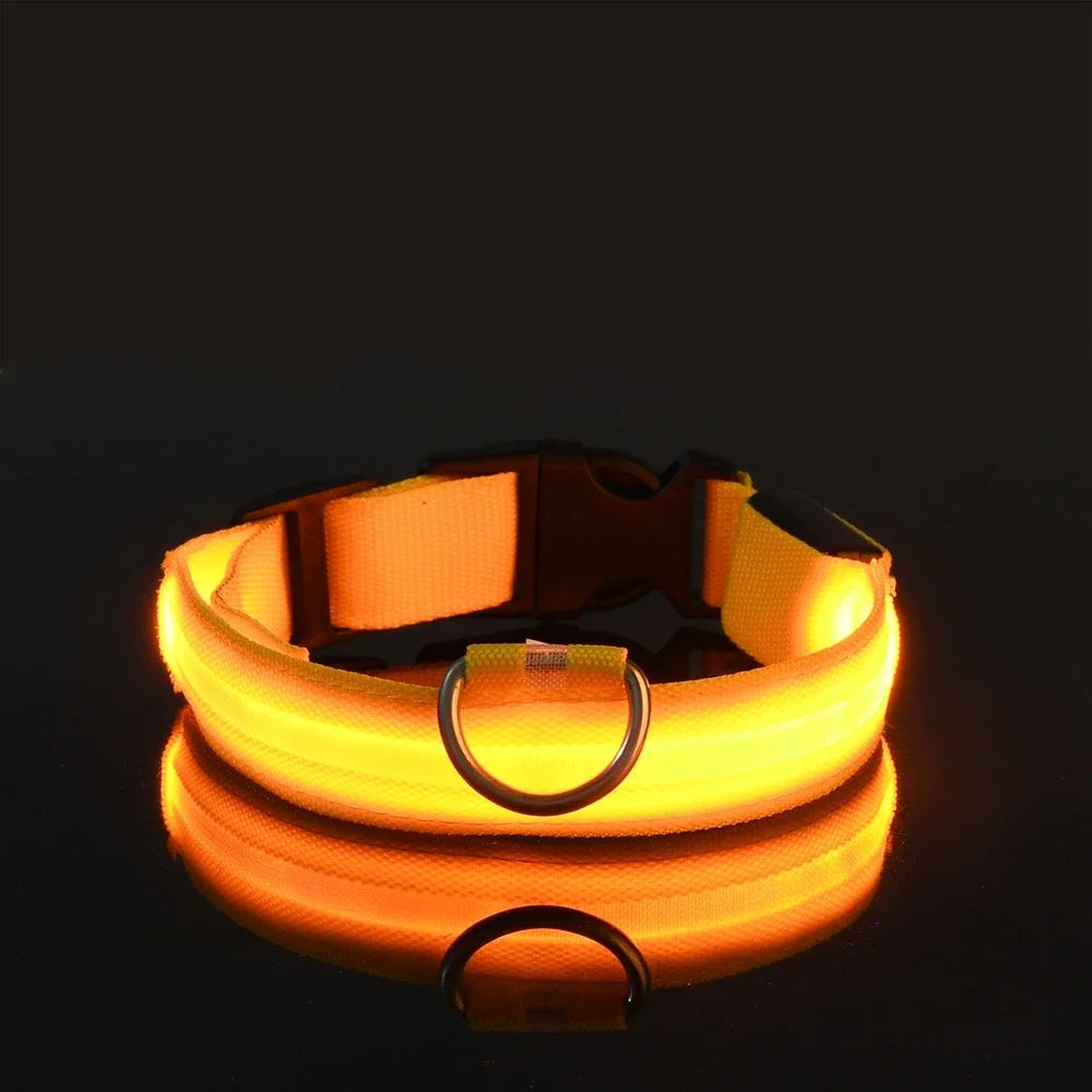 GlowPup™ – LED Safety Collar 🌟 Be seen. Be safe. Be stylish. 🐶 USB rechargeable | Adjustable | Multiple colors 🌙 Perfect for night walks & adventures