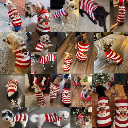 Cozy Christmas Dog Sweater